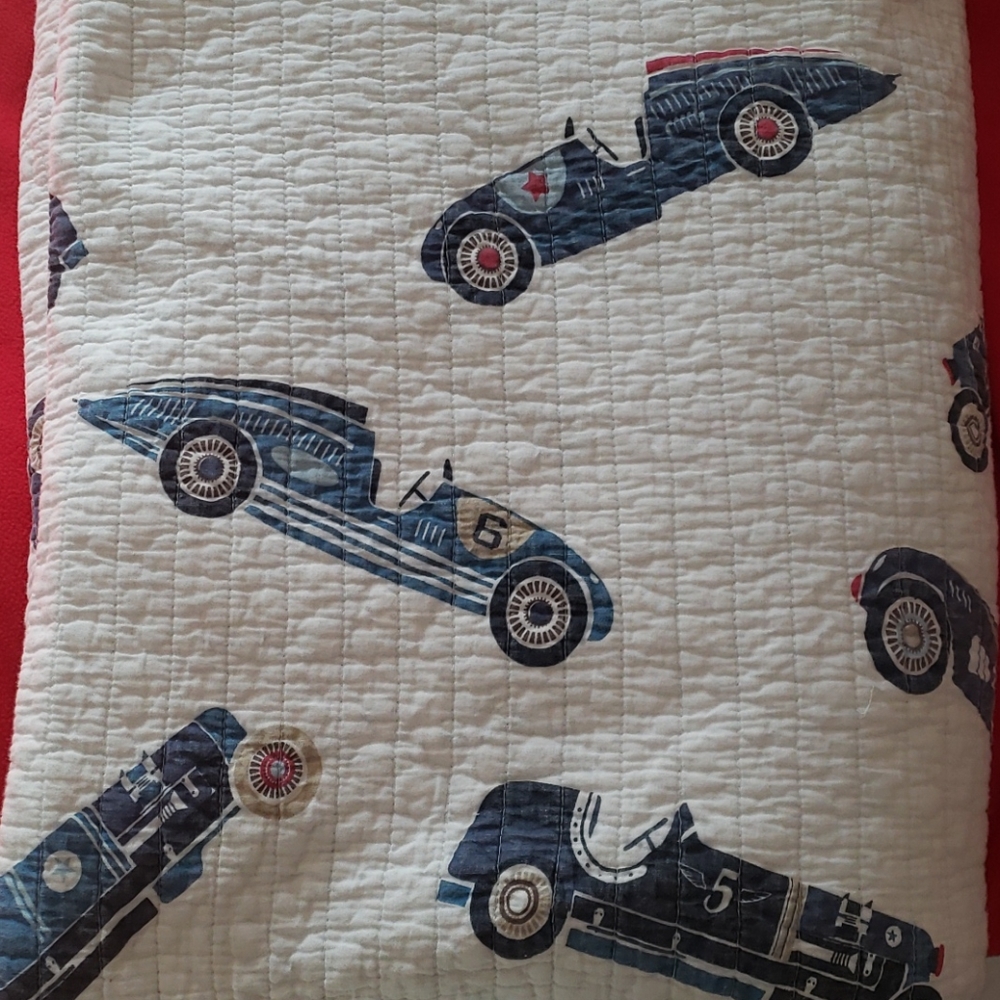 Twin Reversible Boy's Cotton Quilt